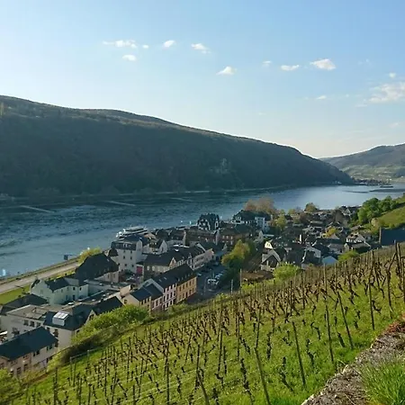 Eismauer Rüdesheim am Rhein